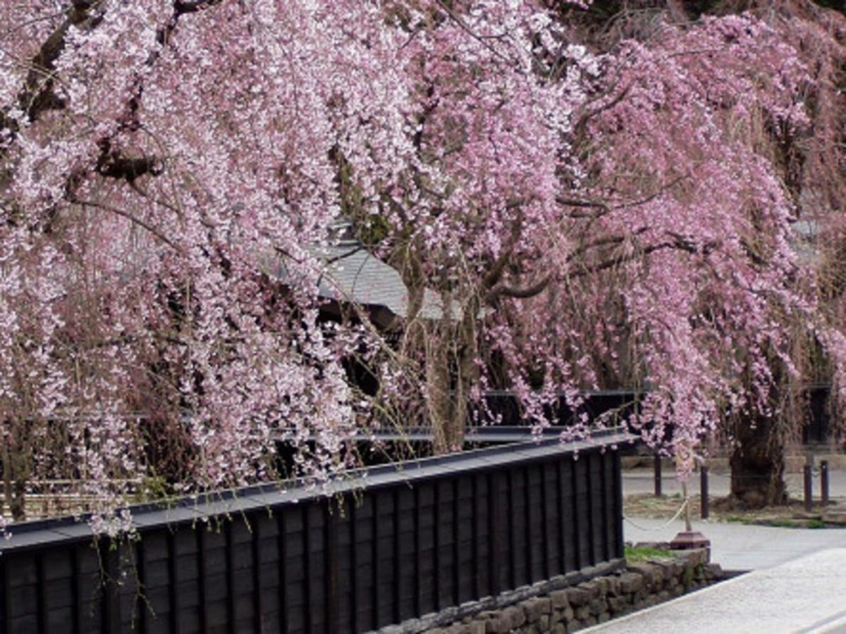 Tamachi Bukeyashiki Hotel - Vacation Stay 20163V Daisen  Exteriör bild