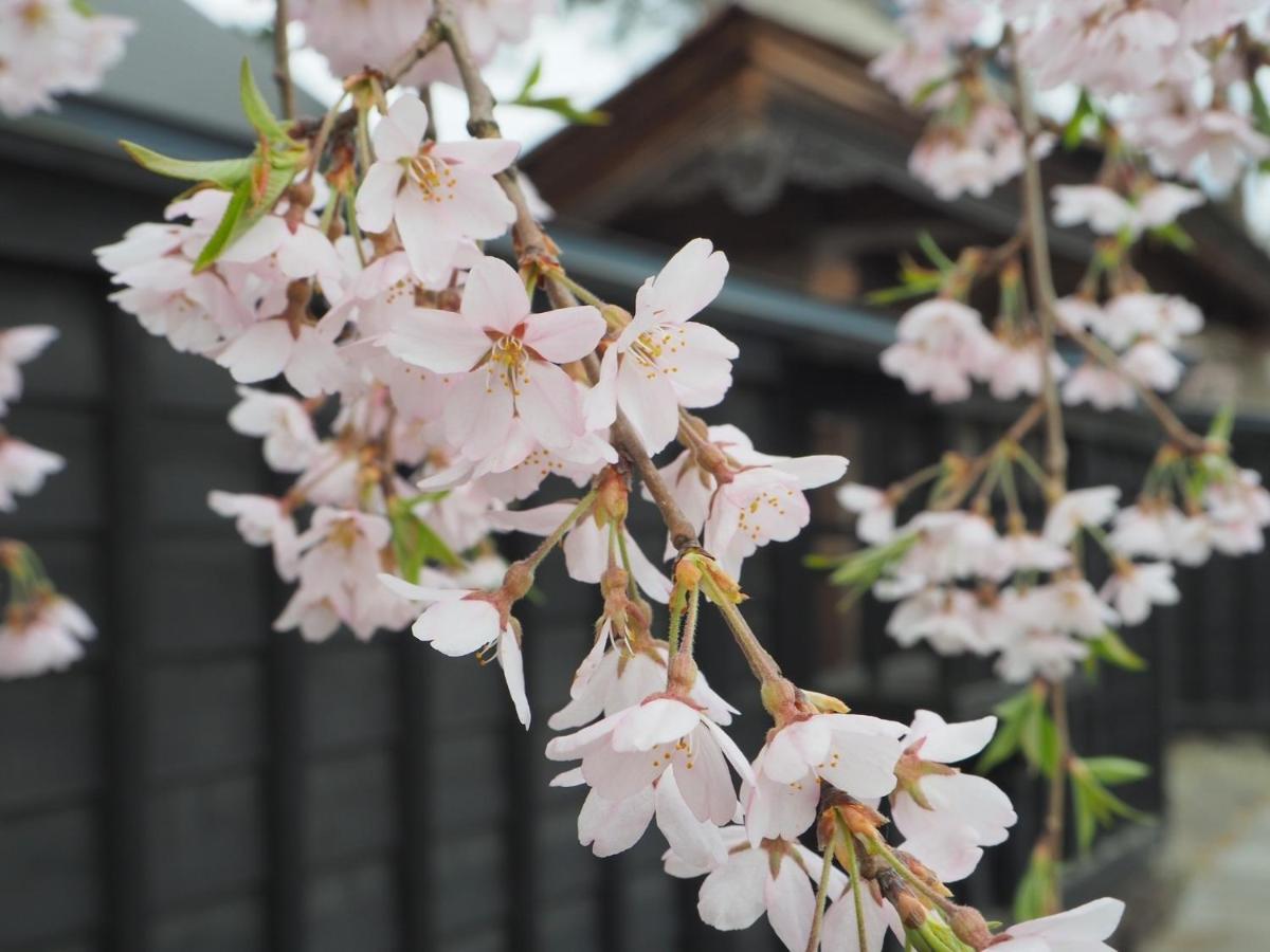 Tamachi Bukeyashiki Hotel - Vacation Stay 20163V Daisen  Exteriör bild